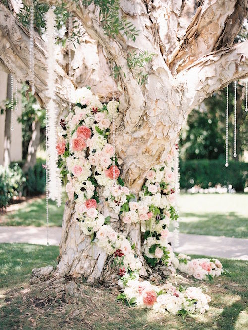 Interview with Blush Botanicals
